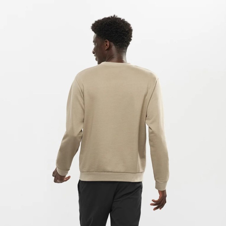 Sudaderas Salomon Outlife Logo Summer Hombre Beige | MX LXAY328
